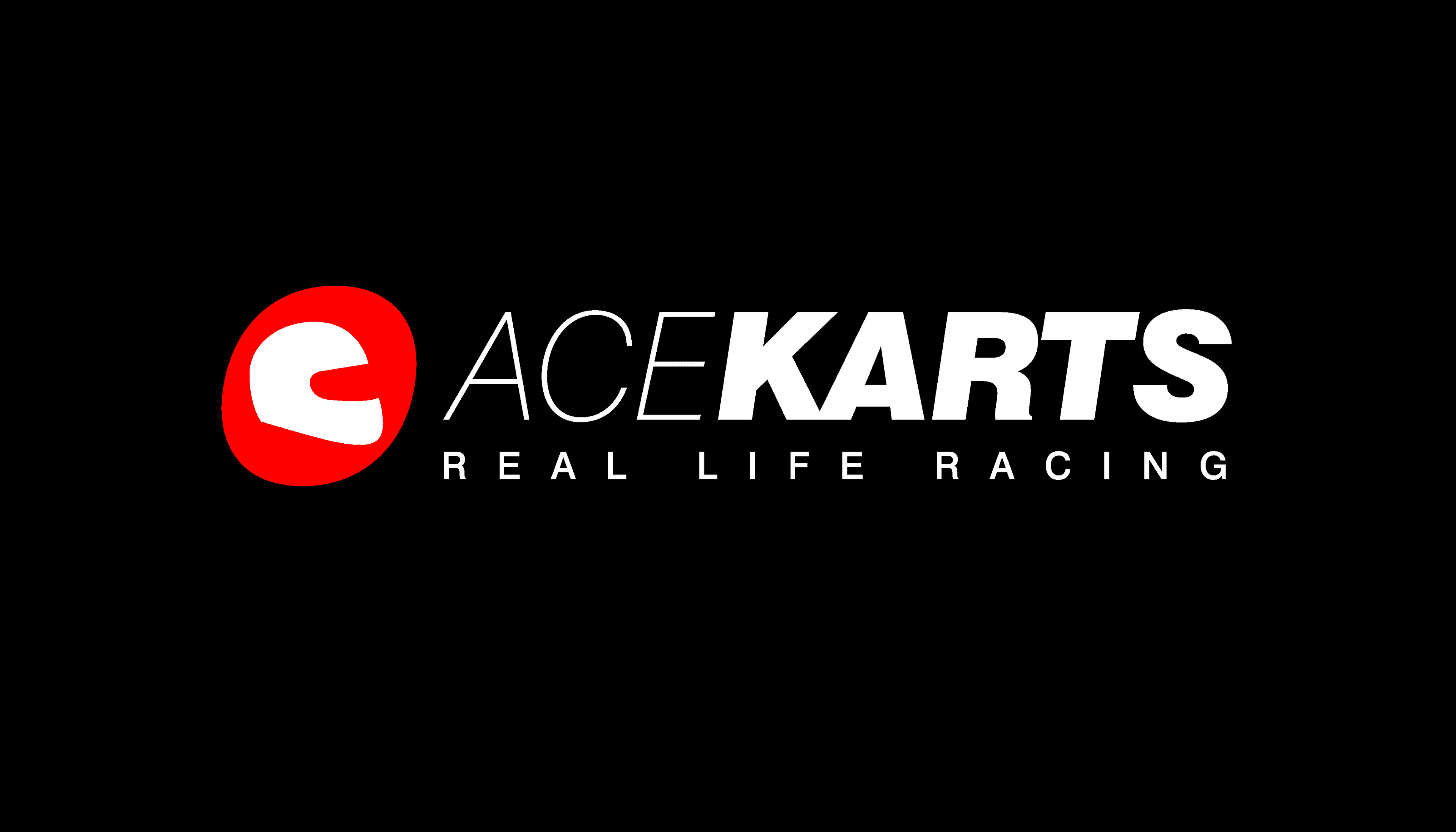 Ace Karts — Real Life Racing